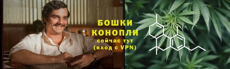 Шишки марихуана Ganja  Орлов 